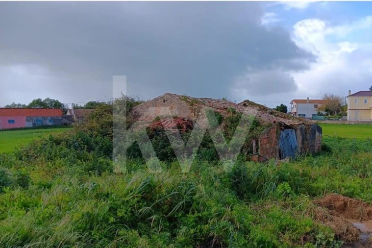 Quinta T4 para Venda em Santo Isidoro Foto 22