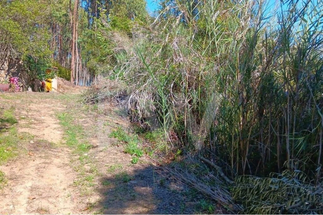 Terreno para Venda em Mafra Foto 4