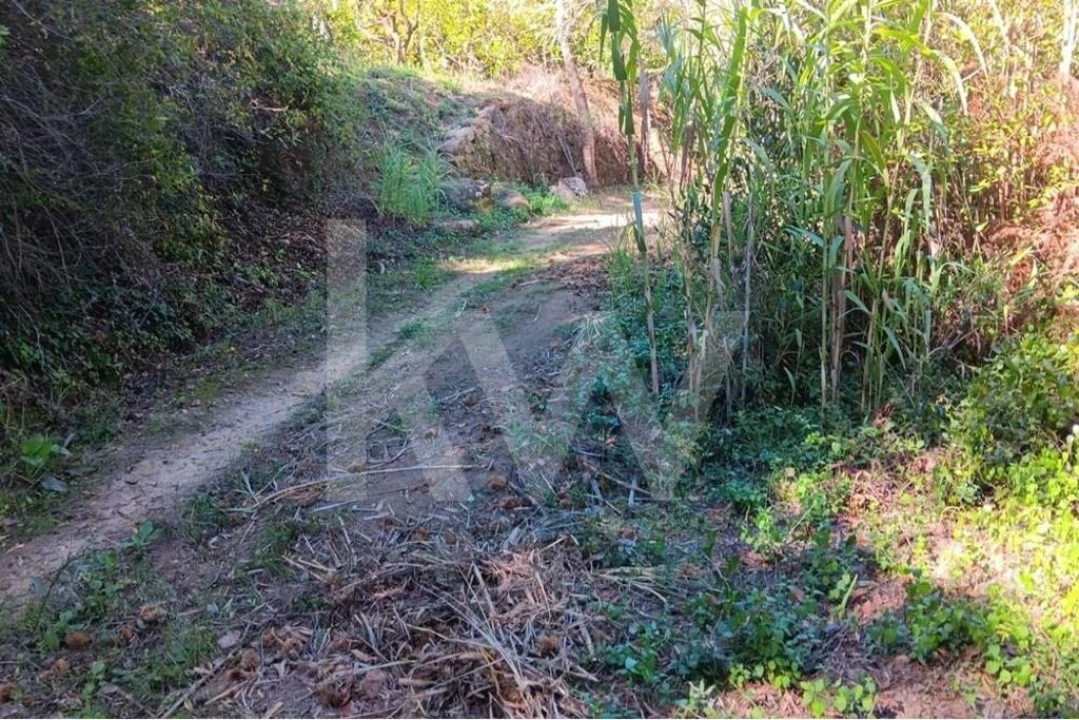 Terreno para Venda em Mafra Foto 9
