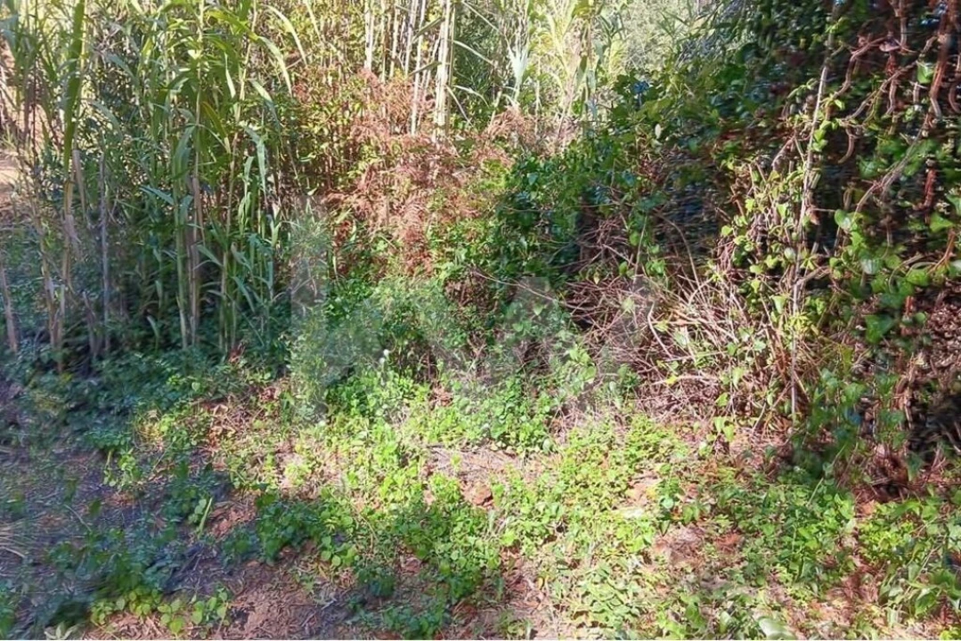 Terreno para Venda em Mafra Foto 10