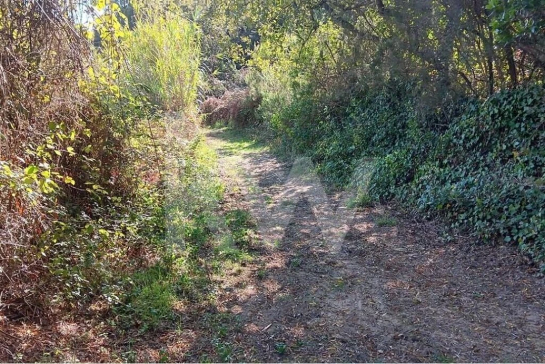 Terreno para Venda em Mafra Foto 12