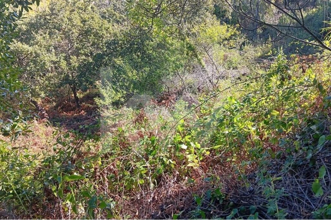Terreno para Venda em Mafra Foto 13