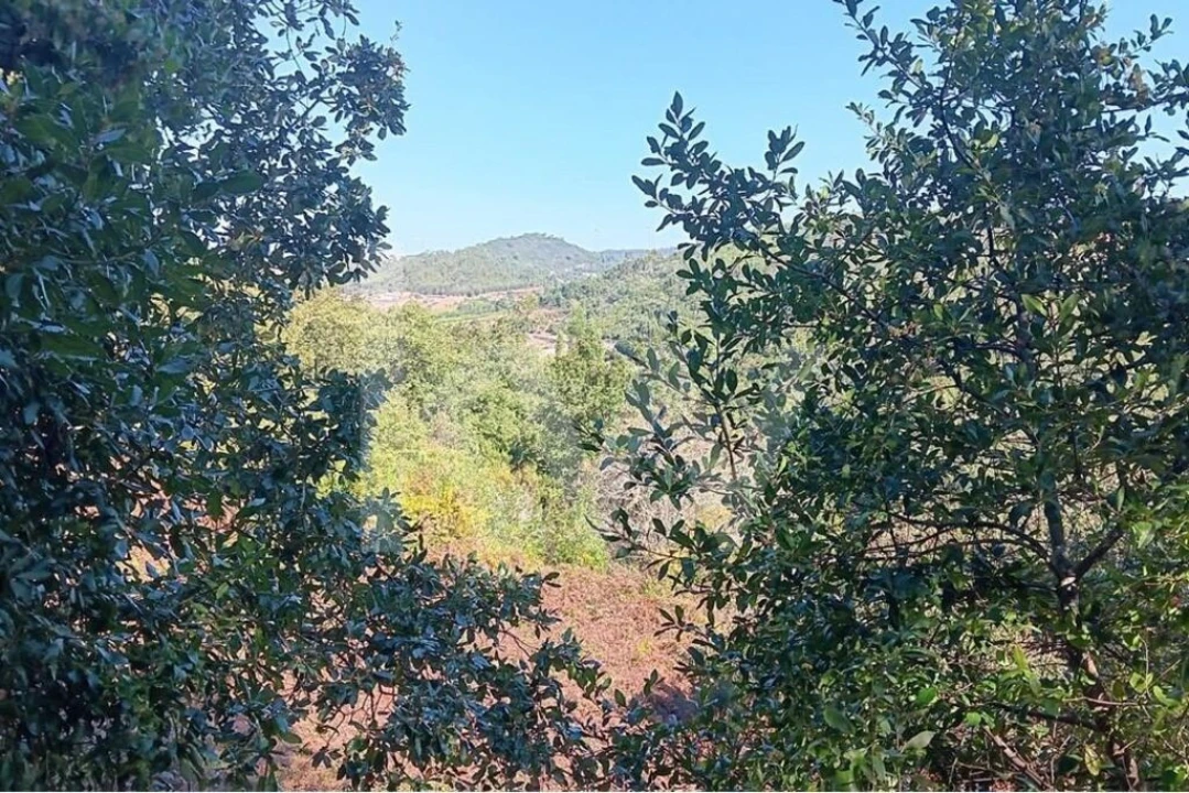 Terreno para Venda em Mafra Foto 15