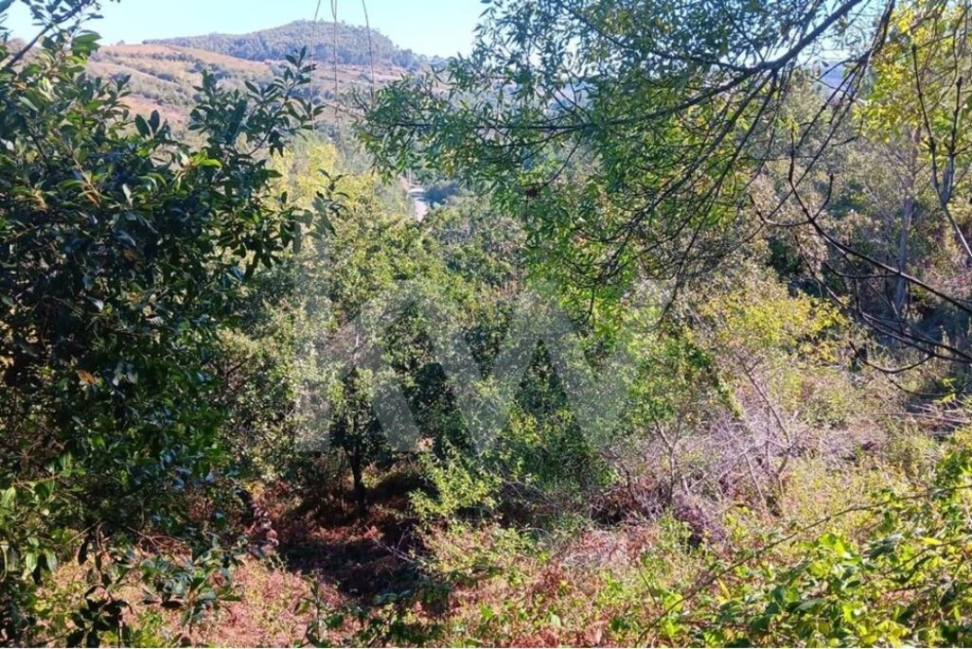 Terreno para Venda em Mafra Foto 17