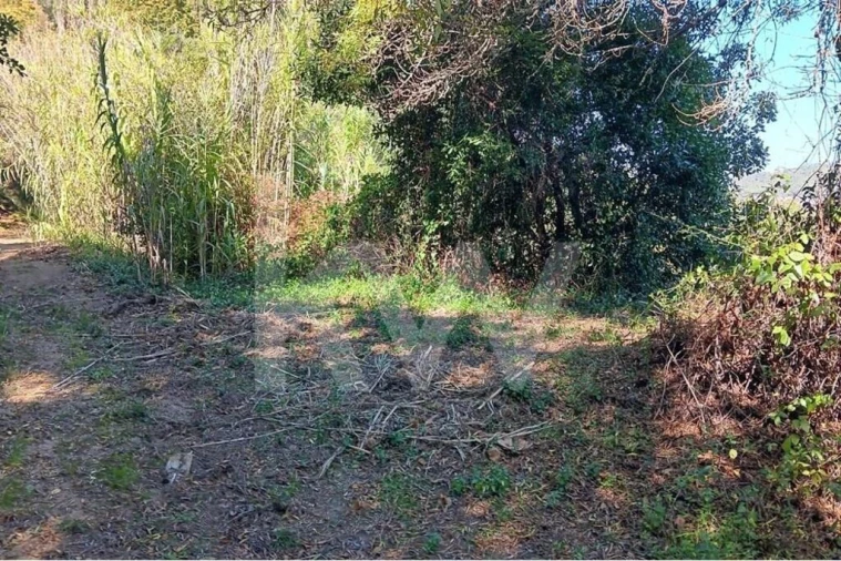 Terreno para Venda em Mafra