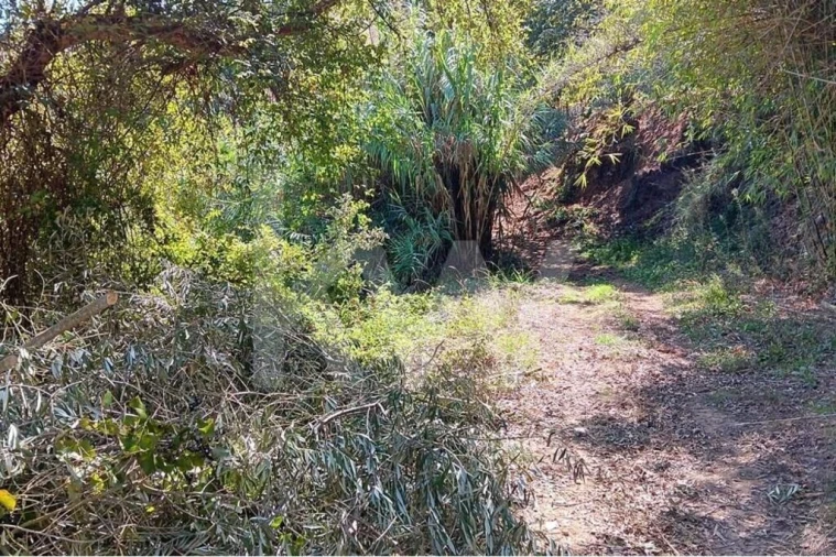 Terreno para Venda em Mafra Foto 6