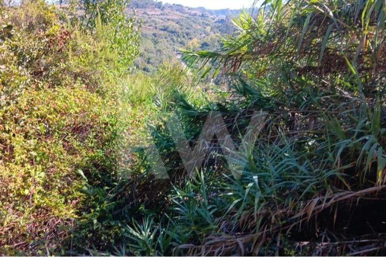 Terreno para Venda em Mafra Foto 8