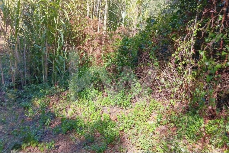 Terreno para Venda em Mafra Foto 10