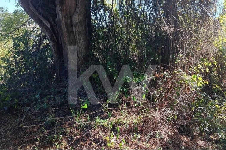 Terreno para Venda em Mafra Foto 11