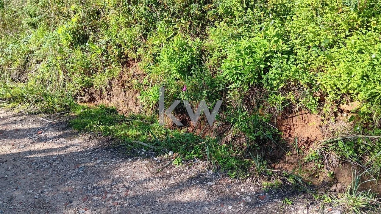 Terreno para Venda em Santo Isidoro Foto 7