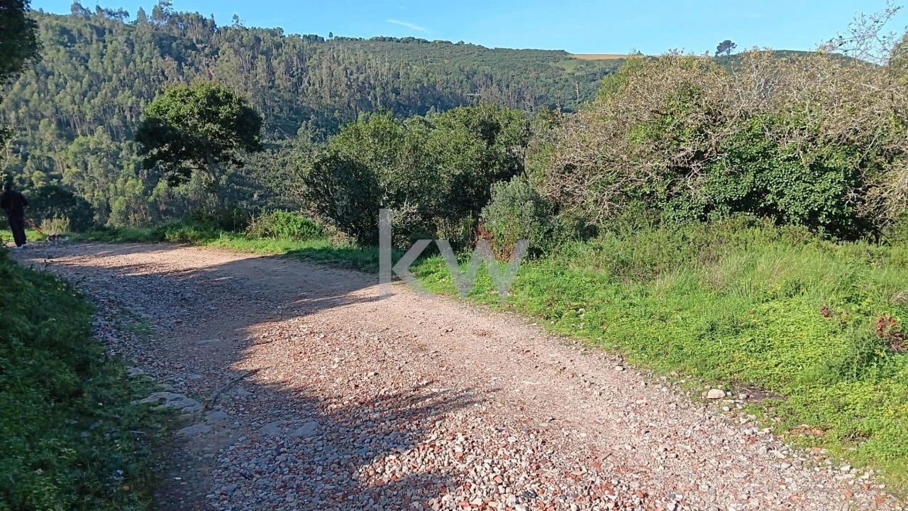 Terreno para Venda em Santo Isidoro Foto 12