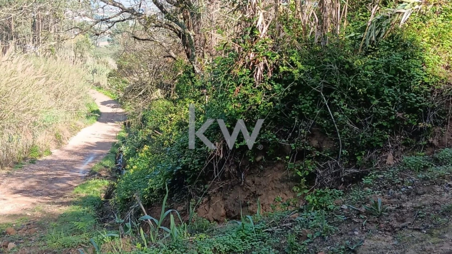 Terreno para Venda em Santo Isidoro Foto 8