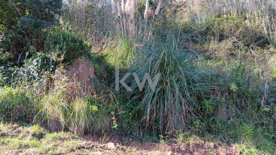 Terreno para Venda em Santo Isidoro Foto 9