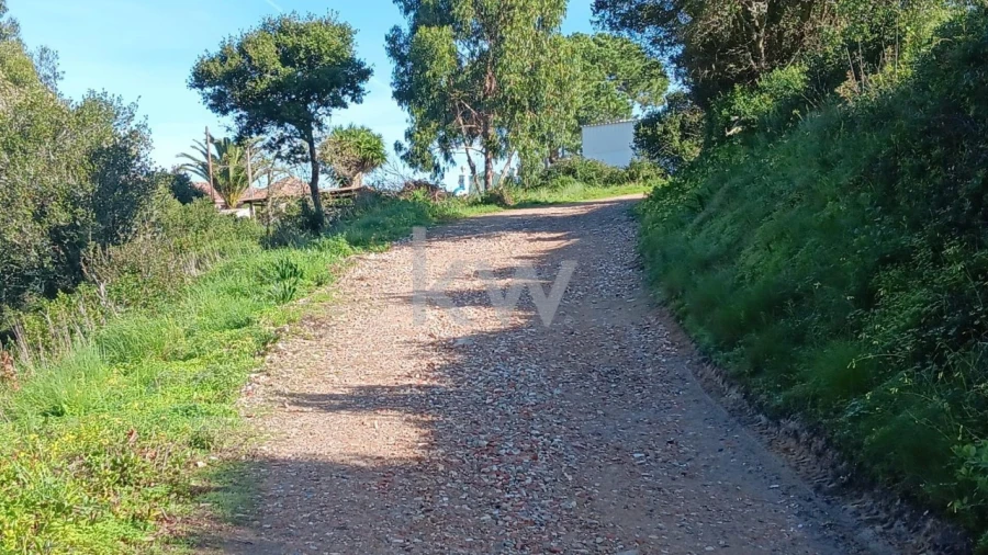 Terreno para Venda em Santo Isidoro Foto 13