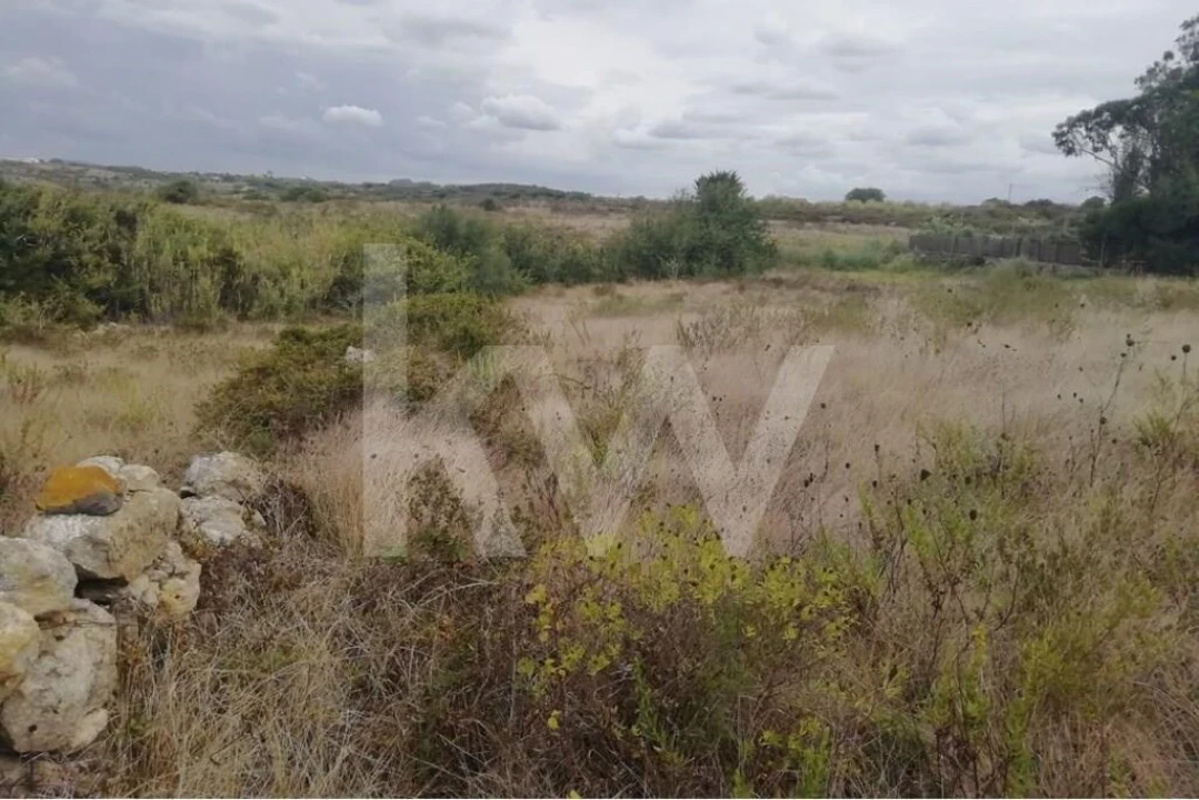 Terreno para Venda em São João das Lampas e Terrugem Foto 7