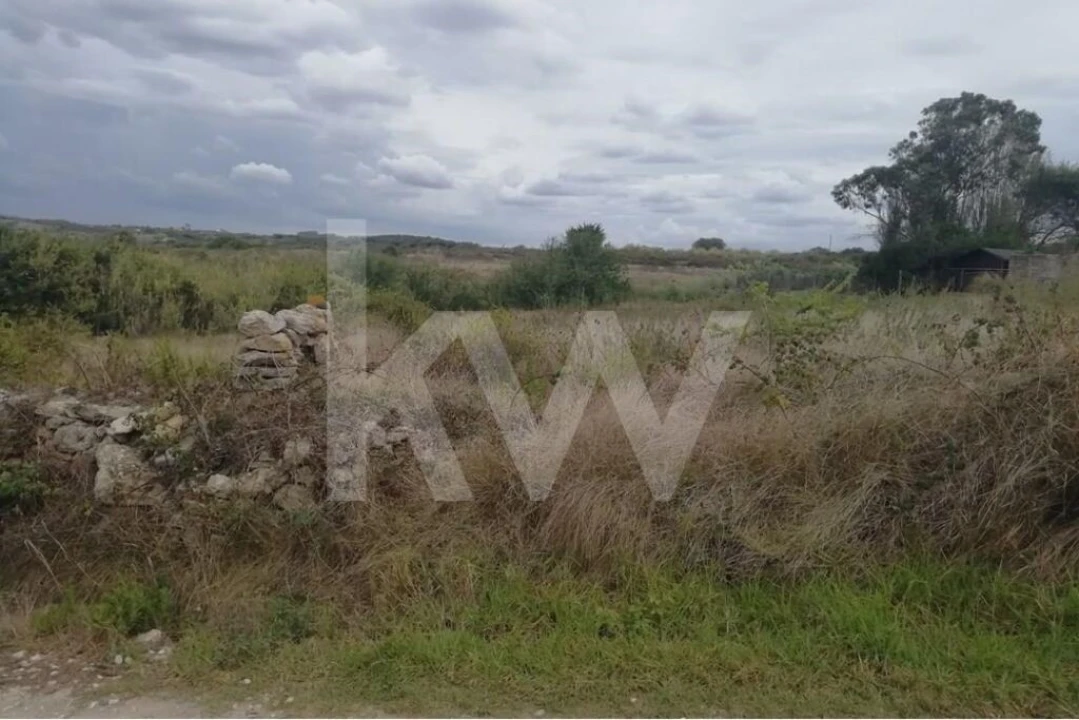 Terreno para Venda em São João das Lampas e Terrugem Foto 10