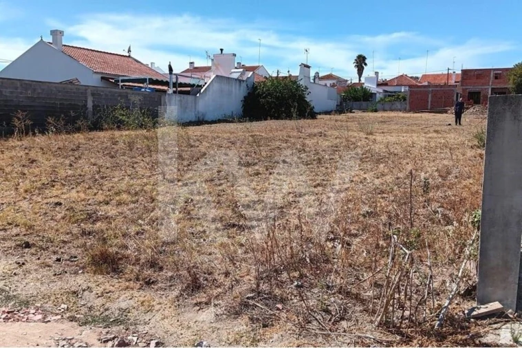 Terreno para Venda em São Bento do Mato Foto 10