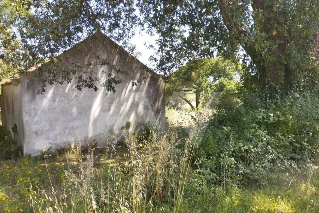 Terreno para Venda em Milharado Foto 1