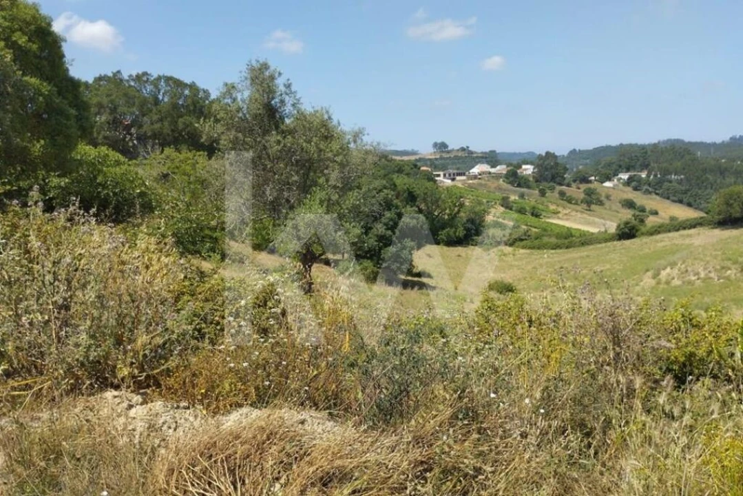 Terreno para Venda em Milharado Foto 16