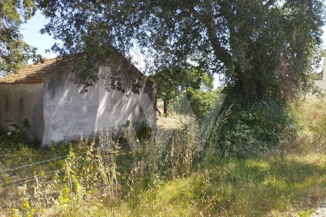 Terreno para Venda em Milharado Foto 24