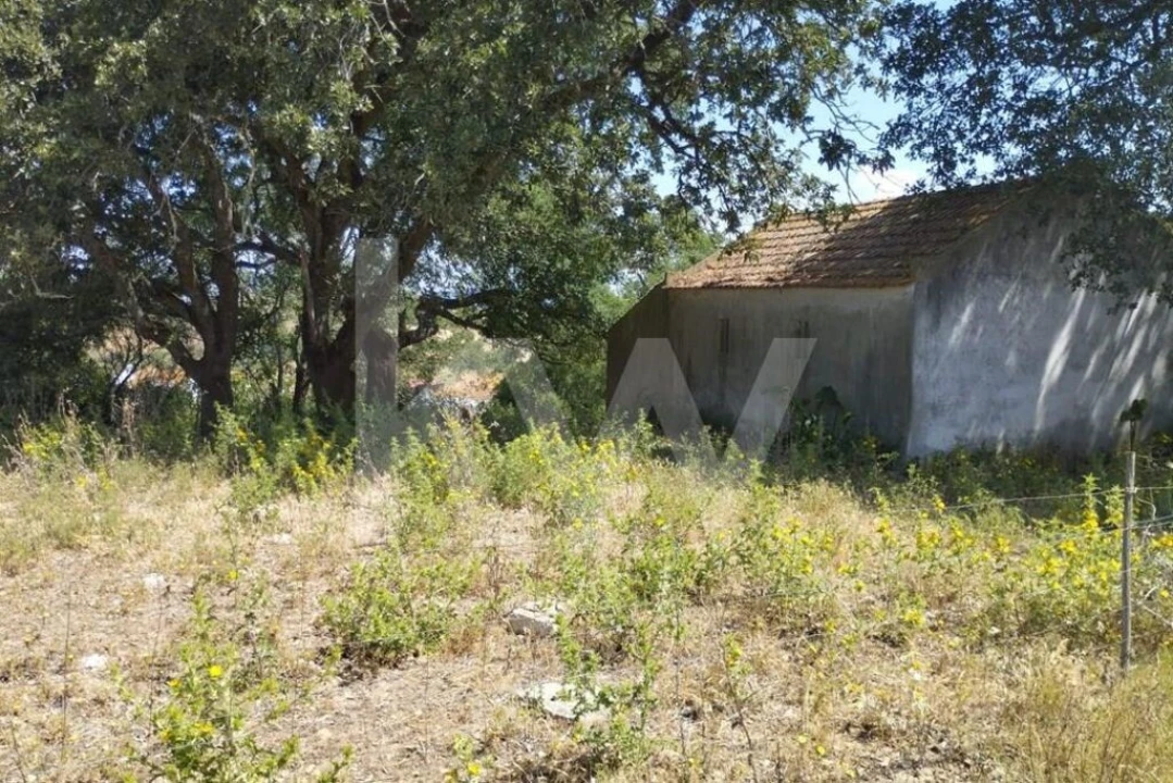 Terreno para Venda em Milharado Foto 27