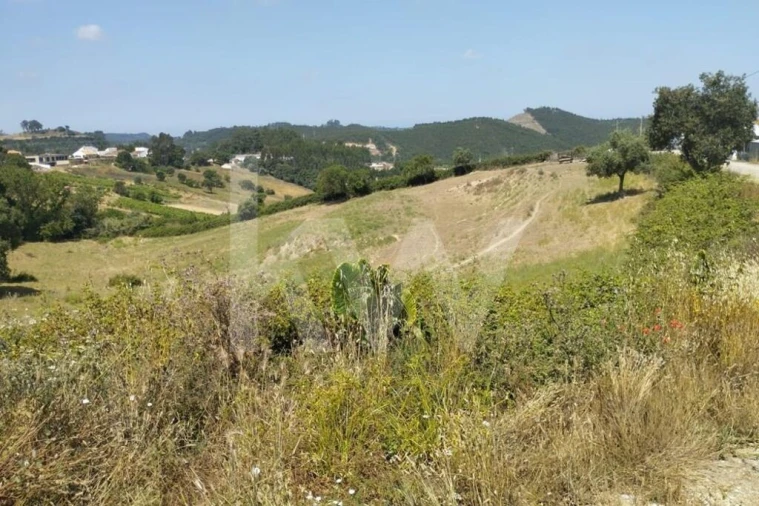 Terreno para Venda em Milharado Foto 13