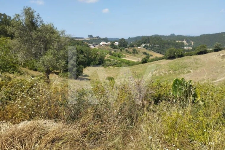 Terreno para Venda em Milharado Foto 15
