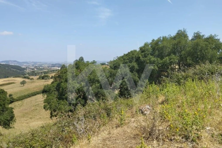 Terreno para Venda em Milharado Foto 19