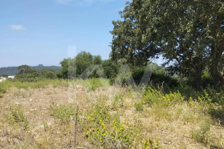 Terreno para Venda em Milharado Foto 23
