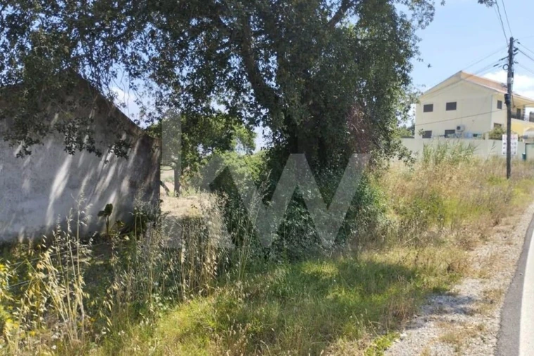 Terreno para Venda em Milharado Foto 25