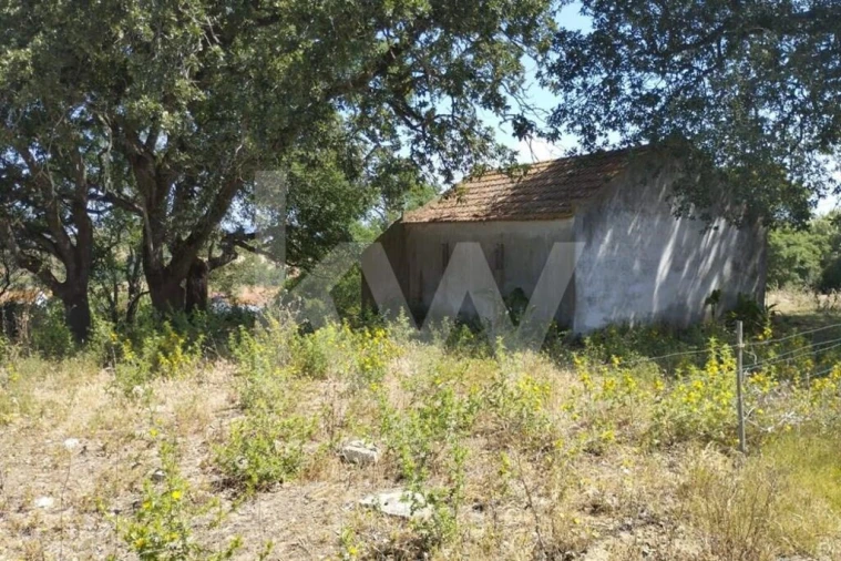 Terreno para Venda em Milharado Foto 28