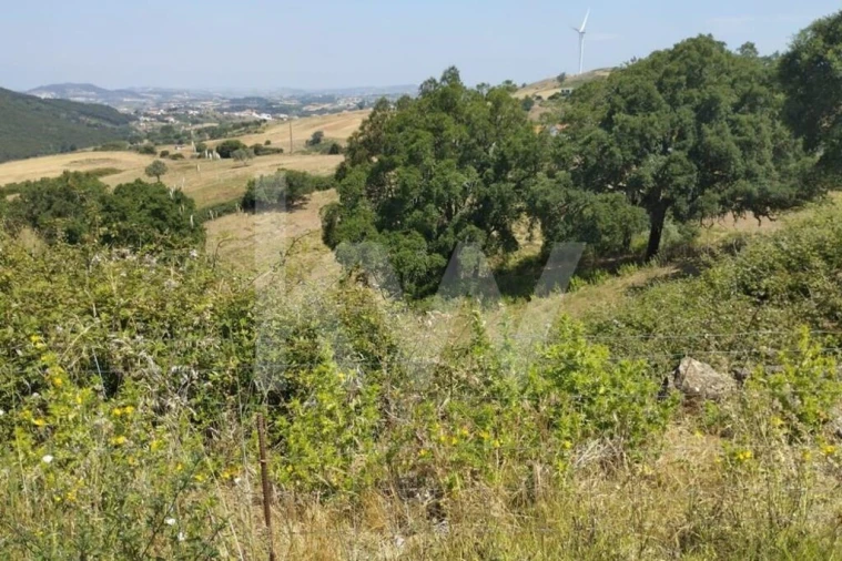 Terreno para Venda em Milharado Foto 30