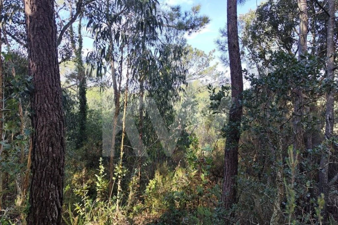 Terreno para Venda em Mafra Foto 18