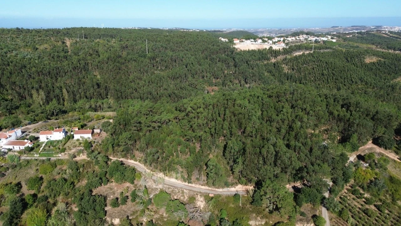 Terreno para Venda em Mafra Foto 22