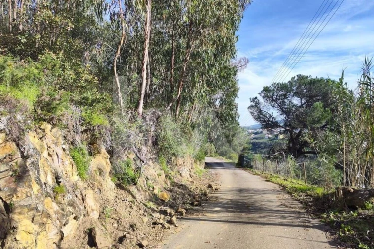 Terreno para Venda em Mafra
