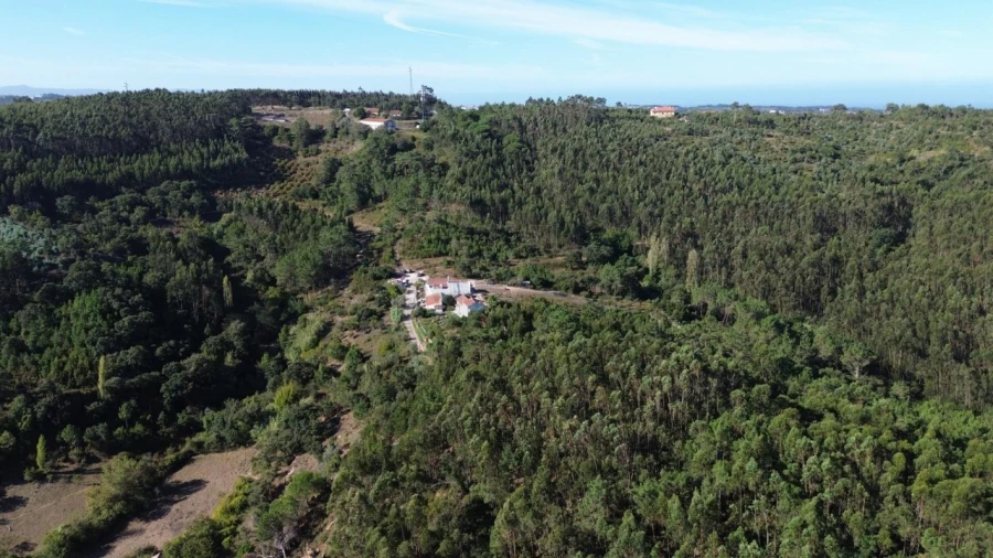 Terreno para Venda em Mafra Foto 24