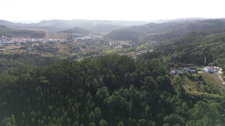 Terreno para Venda em Mafra Foto 25