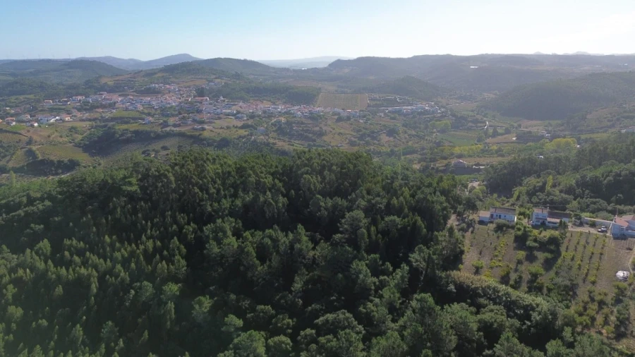 Terreno para Venda em Mafra Foto 26