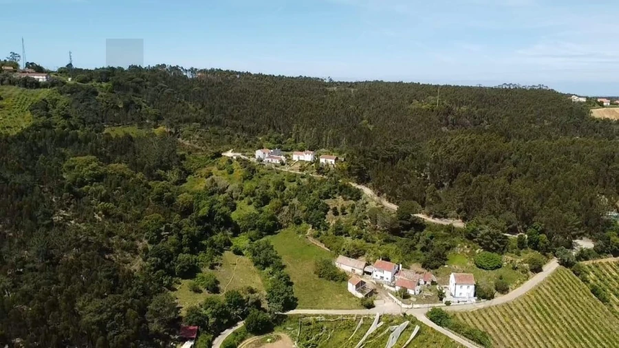Terreno para Venda em Mafra Foto 27