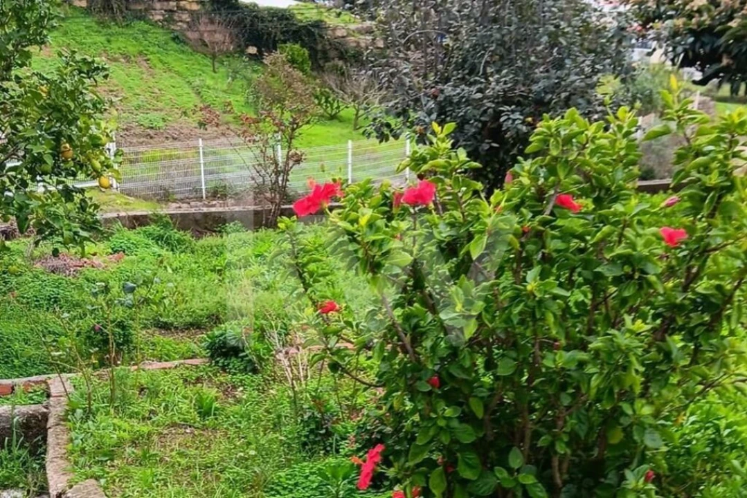 Moradia T2 para Venda em Malveira e São Miguel de Alcainça Foto 30