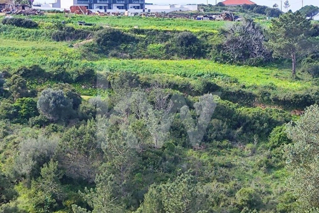 Terreno para Venda em Carvoeira Foto 3