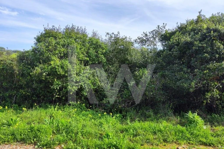 Terreno para Venda em Carvoeira Foto 6