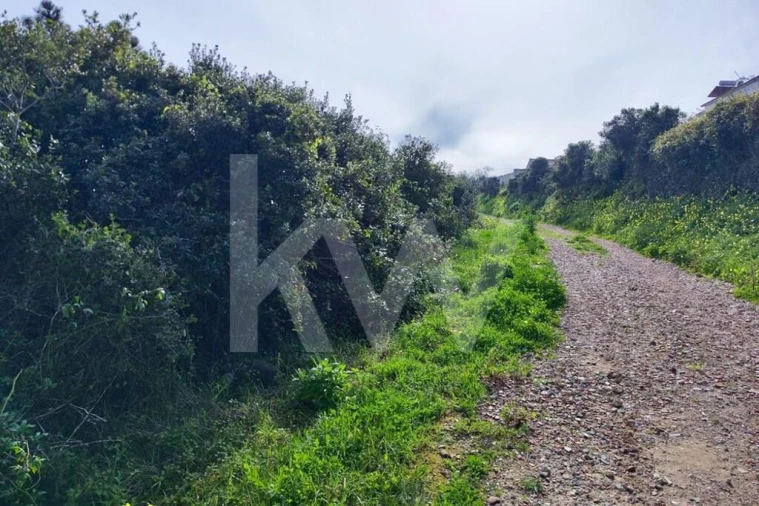 Terreno para Venda em Carvoeira Foto 8