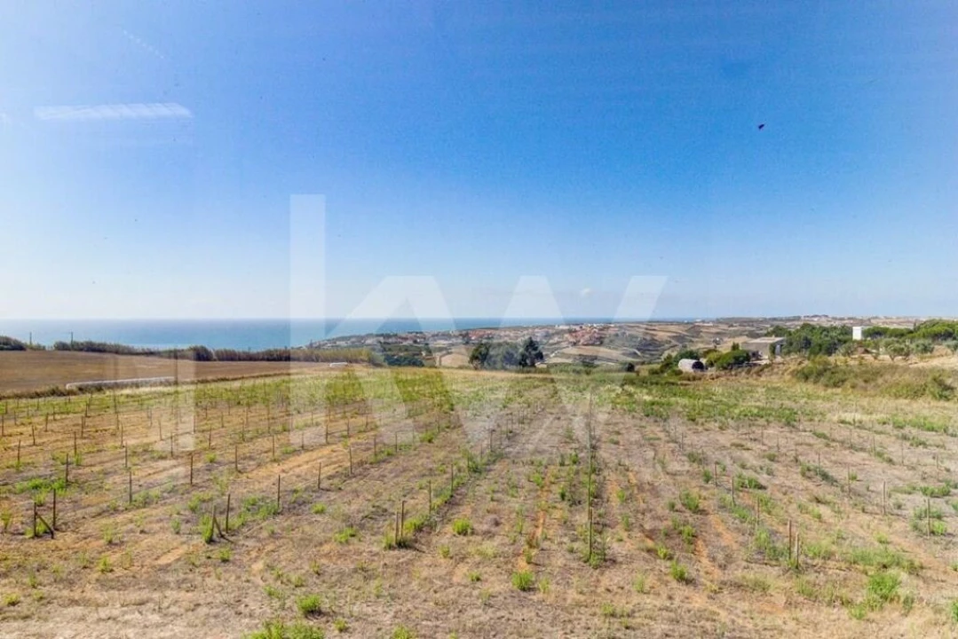 Terreno para Venda em Santo Isidoro Foto 8