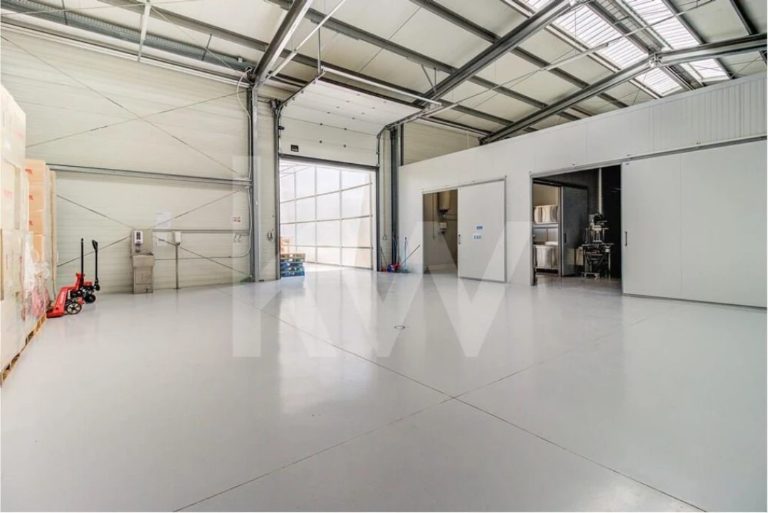 Terreno para Venda em Santo Isidoro Foto 12