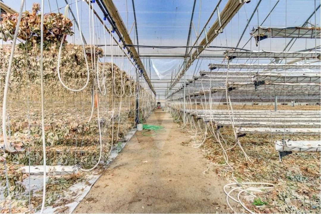 Terreno para Venda em Santo Isidoro Foto 16