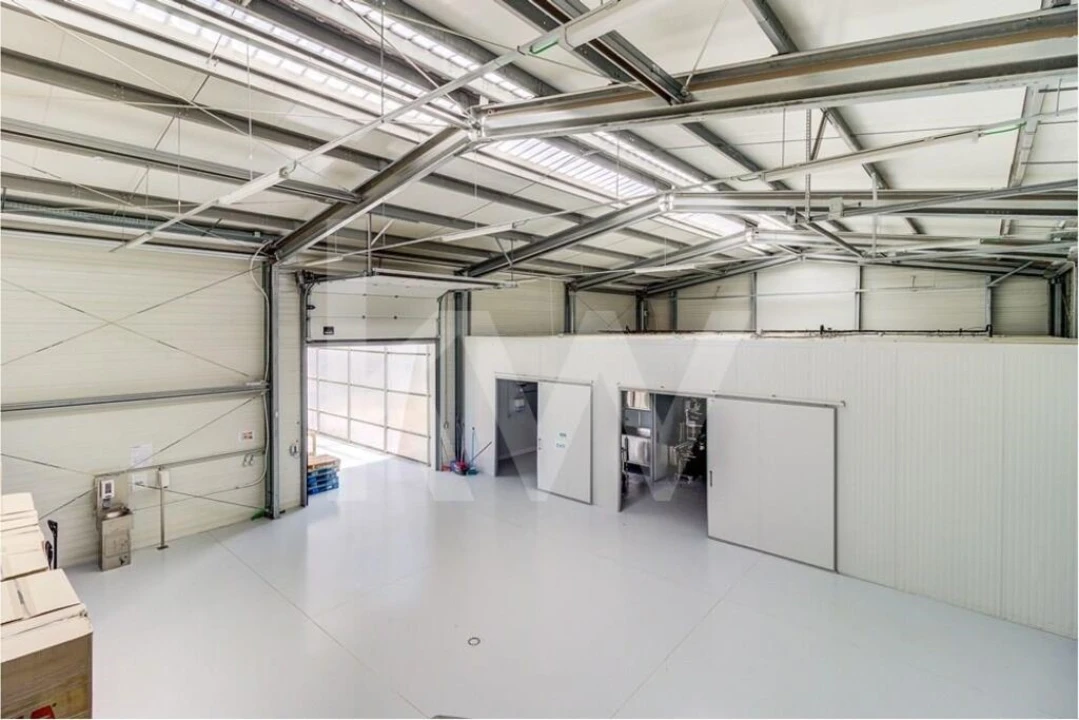 Terreno para Venda em Santo Isidoro Foto 17