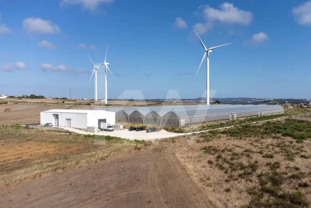 Terreno para Venda em Santo Isidoro Foto 34