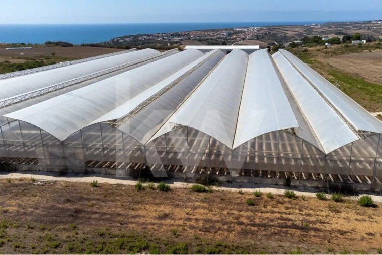 Terreno para Venda em Santo Isidoro Foto 5