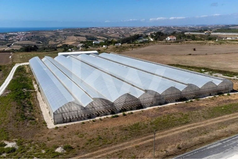Terreno para Venda em Santo Isidoro Foto 6